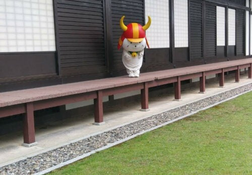 ひこにゃん登場！